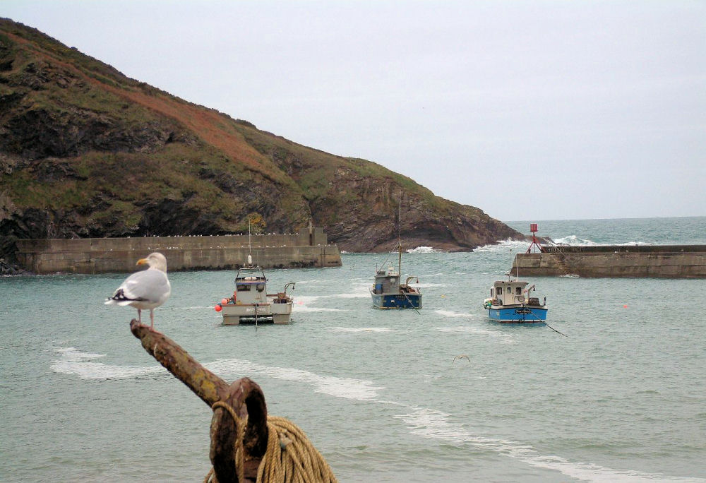 Port Isaac